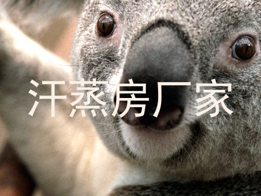 汗蒸房厂家