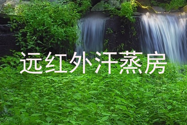 远红外汗蒸房