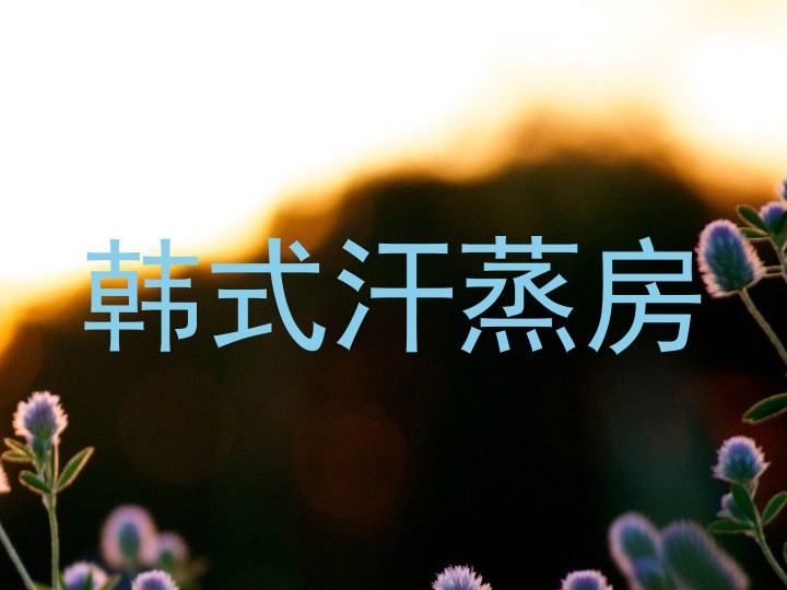 韩式汗蒸房