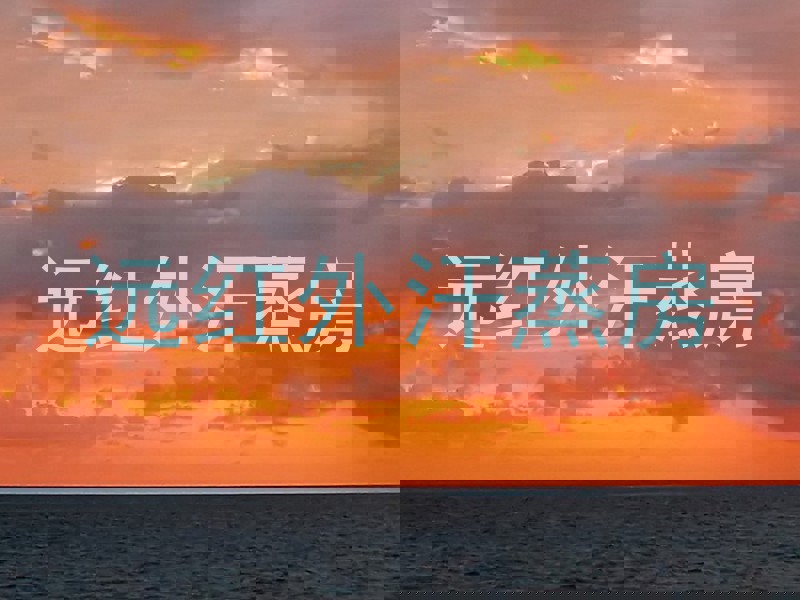 远红外汗蒸房