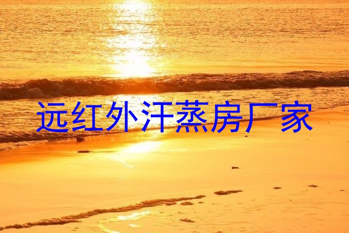 远红外汗蒸房厂家