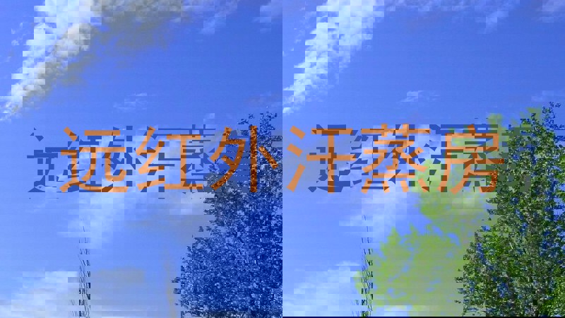 远红外汗蒸房