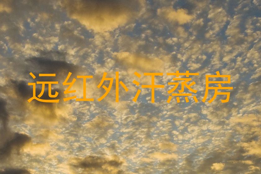 远红外汗蒸房