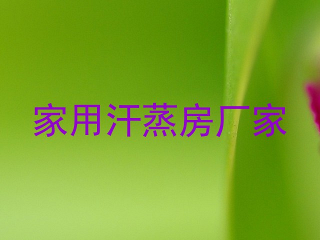 家用汗蒸房厂家