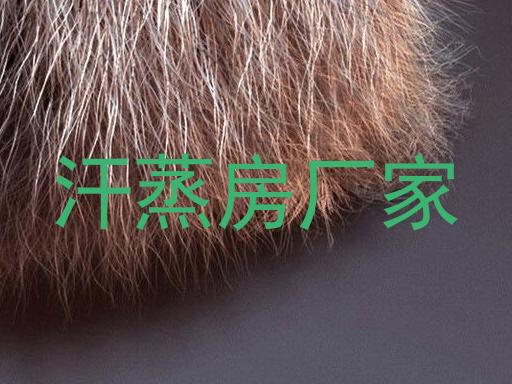 汗蒸房厂家