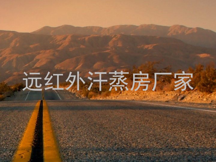 远红外汗蒸房厂家