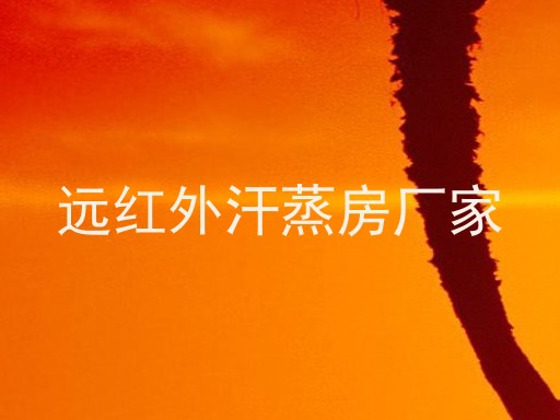 远红外汗蒸房厂家
