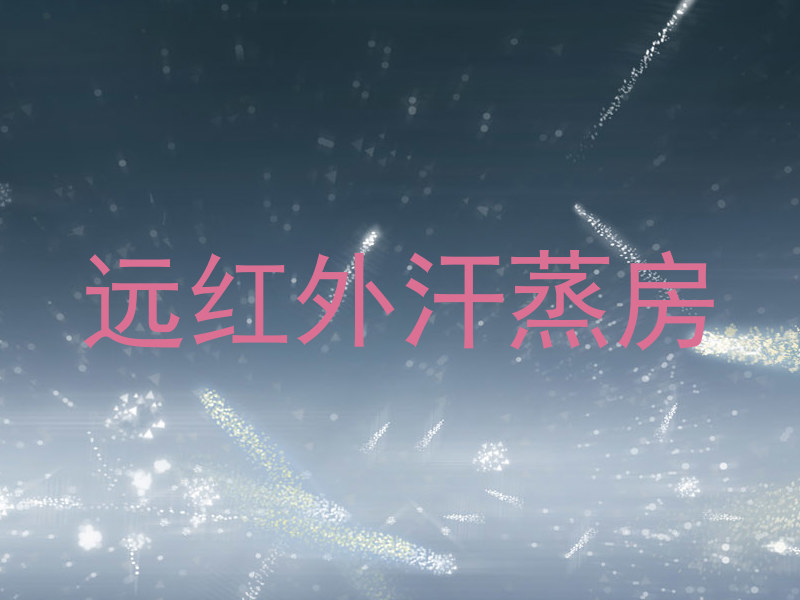远红外汗蒸房