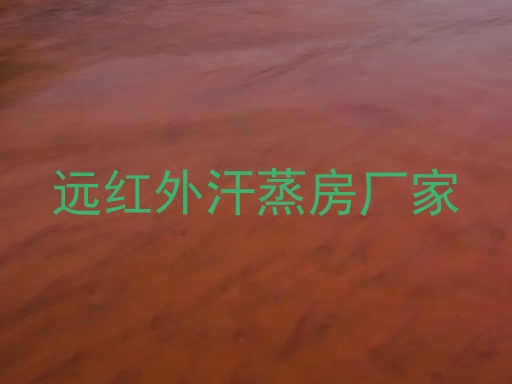 远红外汗蒸房厂家