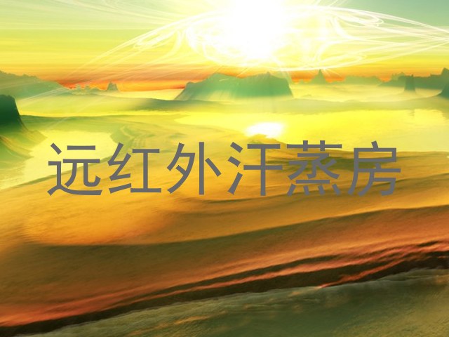 远红外汗蒸房