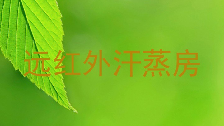 远红外汗蒸房