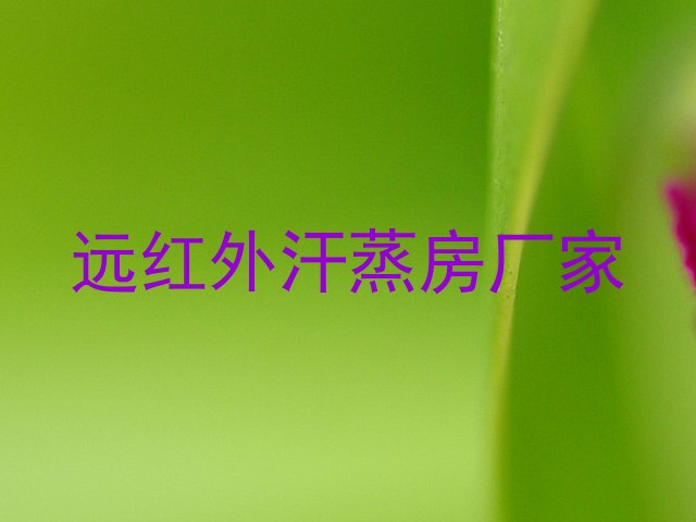 远红外汗蒸房厂家