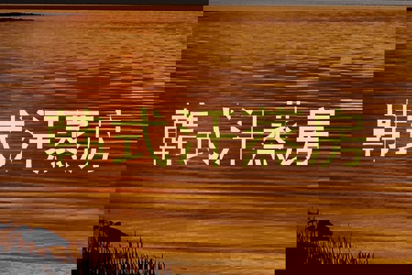 韩式汗蒸房