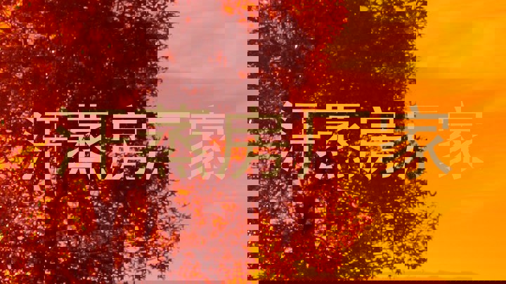 汗蒸房厂家