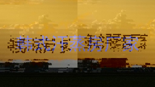 韩式汗蒸房厂家