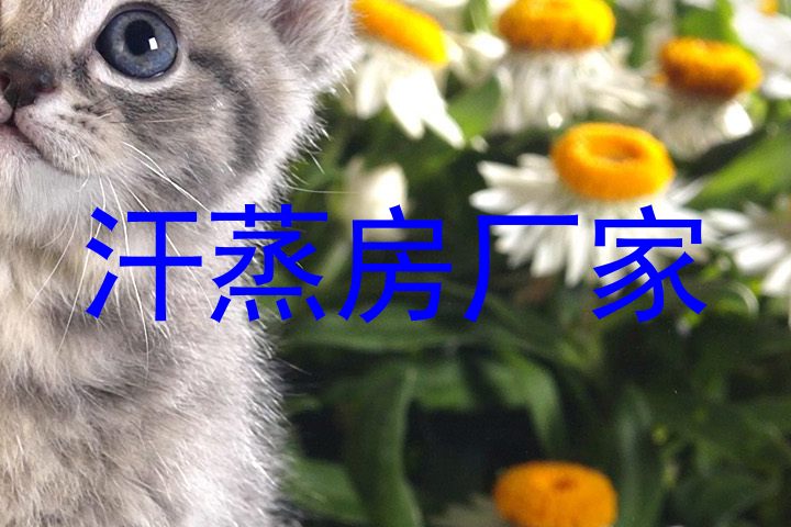汗蒸房厂家