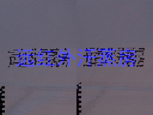 远红外汗蒸房