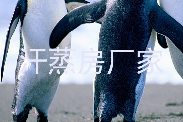 汗蒸房厂家