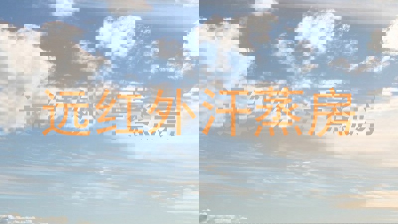 远红外汗蒸房