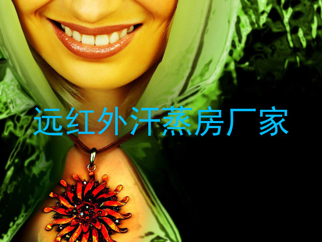 远红外汗蒸房厂家