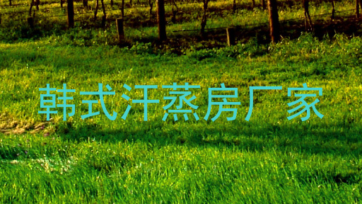 韩式汗蒸房厂家