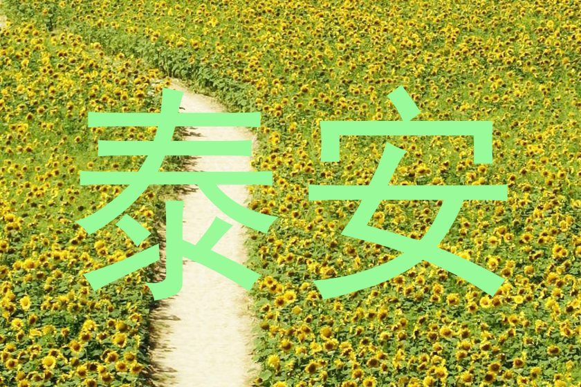 泰安