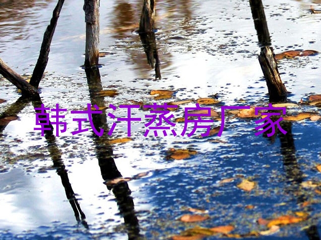 韩式汗蒸房厂家