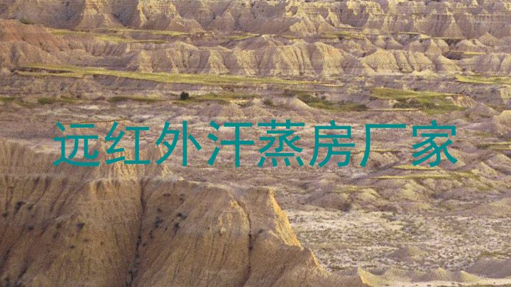 远红外汗蒸房厂家