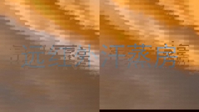 远红外汗蒸房
