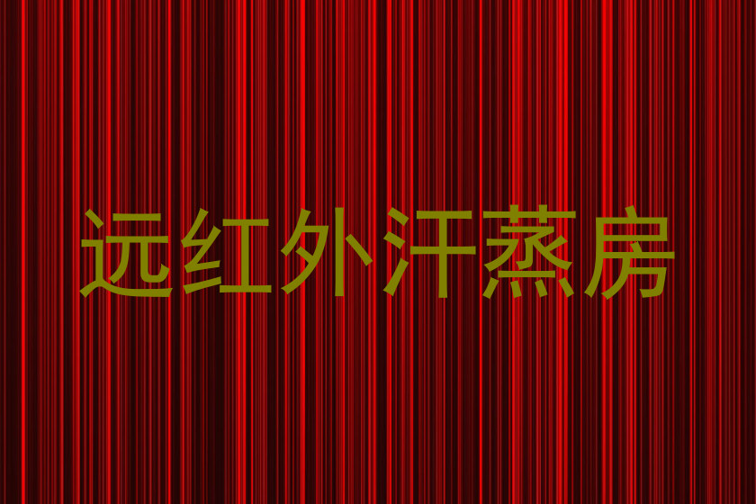 远红外汗蒸房