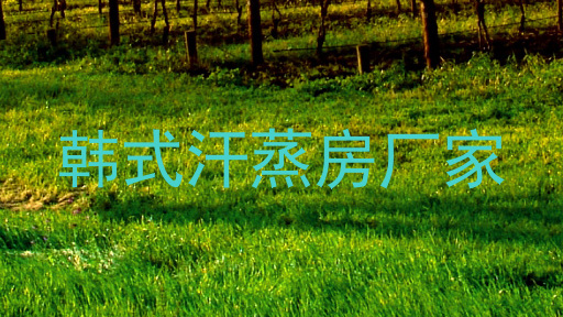 韩式汗蒸房厂家