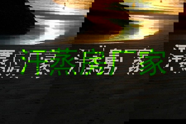汗蒸房厂家