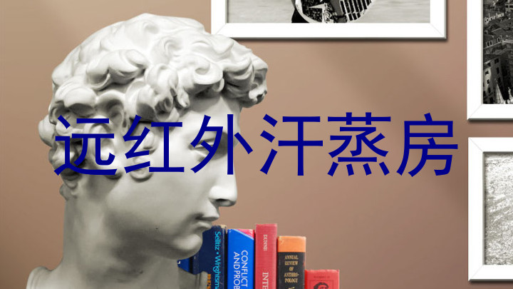 远红外汗蒸房