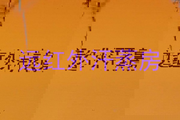 远红外汗蒸房
