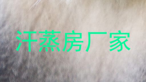 汗蒸房厂家