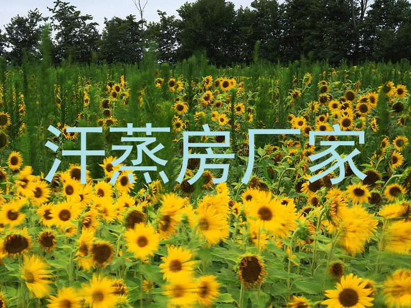 汗蒸房厂家