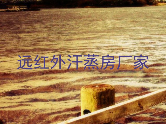 远红外汗蒸房厂家