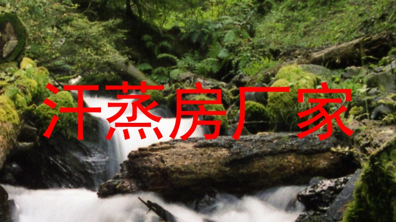 汗蒸房厂家