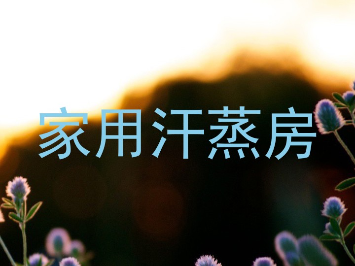 家用汗蒸房