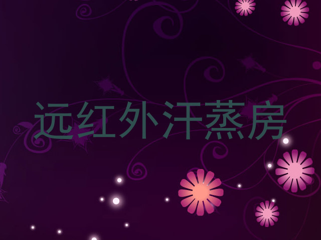 远红外汗蒸房