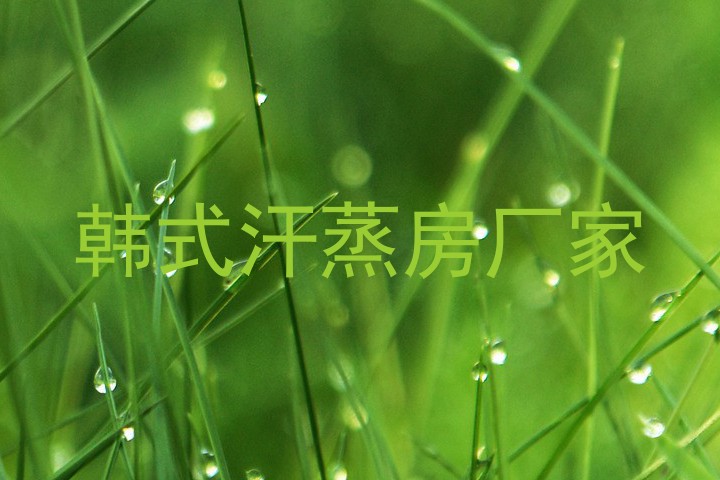 韩式汗蒸房厂家