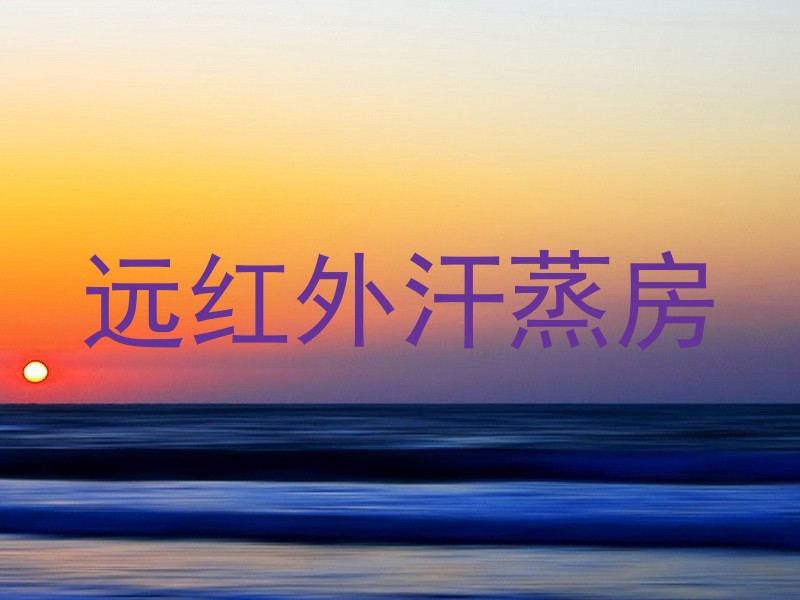 远红外汗蒸房