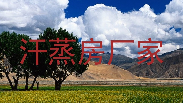 汗蒸房厂家