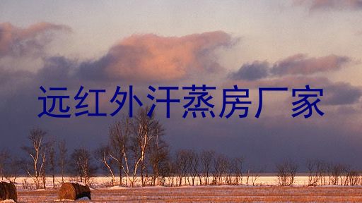 远红外汗蒸房厂家