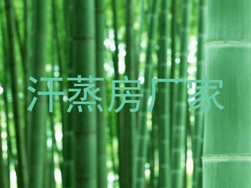 汗蒸房厂家