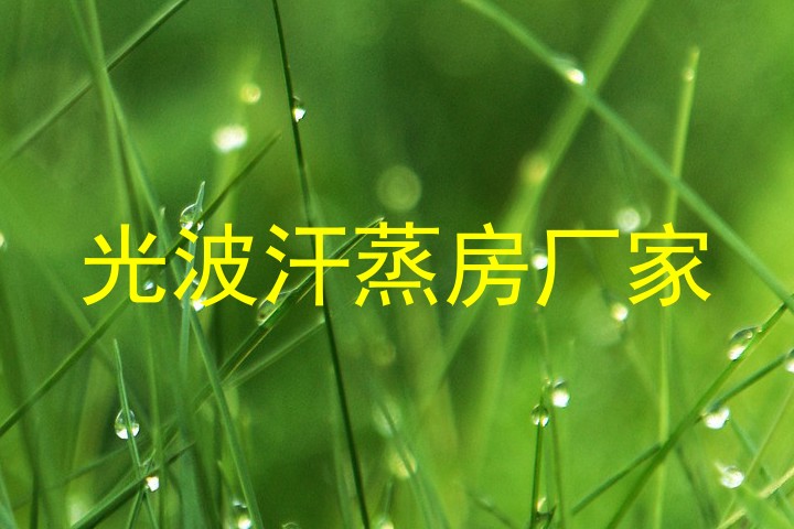 光波汗蒸房厂家