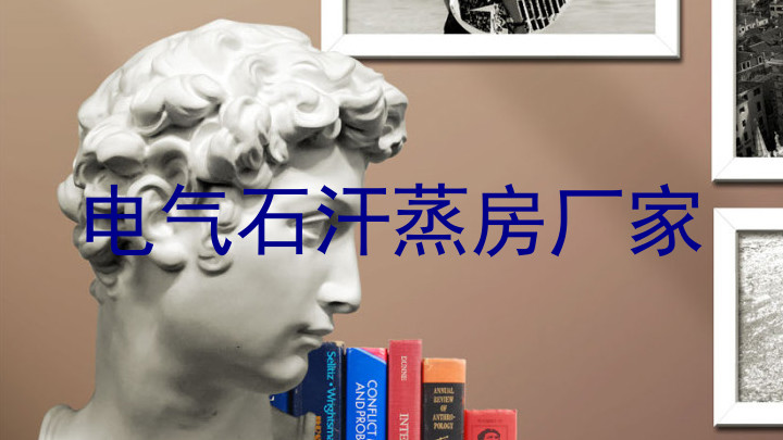 电气石汗蒸房厂家