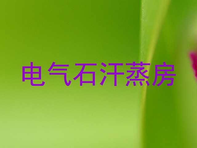 电气石汗蒸房