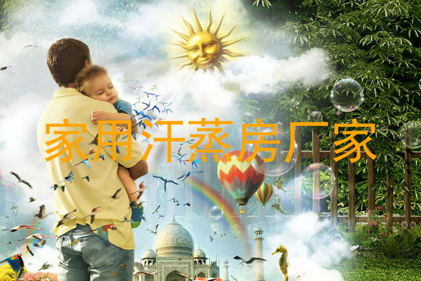 家用汗蒸房厂家