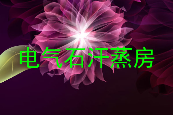 电气石汗蒸房